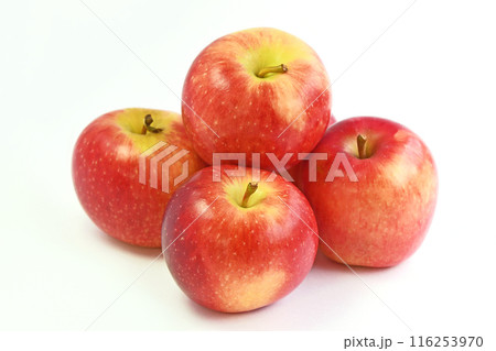 りんご（ダズル） 116253970