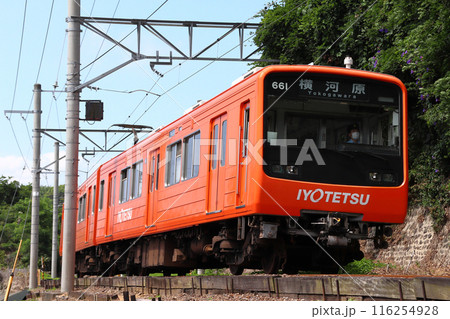 ［IY］伊予鉄道郊外線610系電車（高浜線⇔横河原線） 116254928