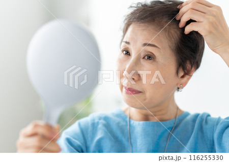 ウィッグを付ける女性　ヘアケア 116255330