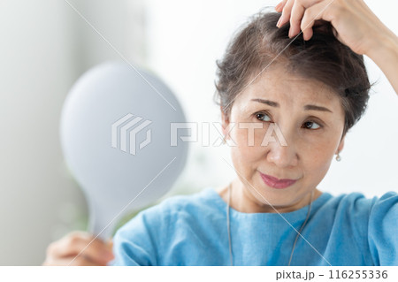 ウィッグを付ける女性　ヘアケア 116255336