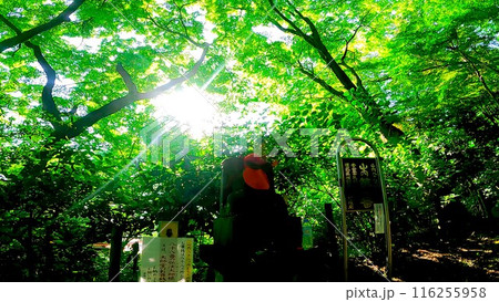 高幡不動尊の八十八ケ所巡拝路 高幡不動尊の八十八ケ所巡拝路 116255958