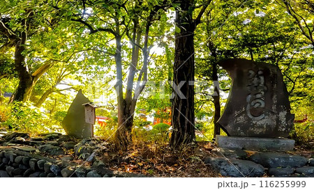 東京都日野市高幡　高幡不動尊　 116255999