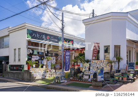 長谷の沖縄居酒屋 　島民食堂 116256144