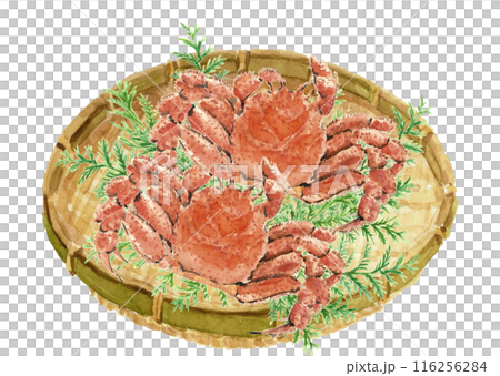 水彩で描いたヒバを敷いたザルに盛った毛蟹の水彩画【手描き】白バック 透過背景  116256284