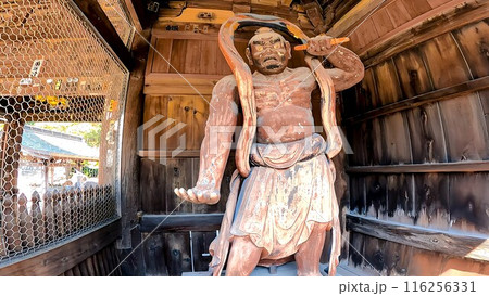 東京都日野市高幡 高幡不動尊の山門の仁王像 東京都日野市高幡 高幡不動尊の山門の仁王像 116256331