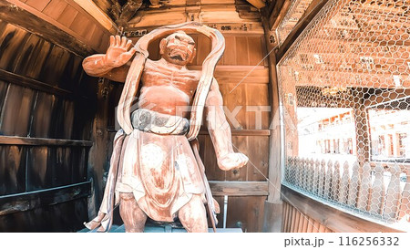 東京都日野市高幡　高幡不動尊の山門の仁王像 116256332