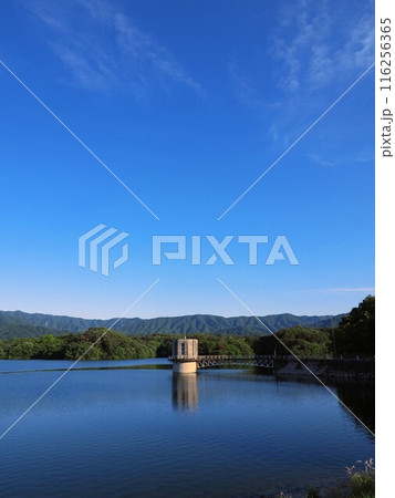 晴天の満濃池　静寂　香川県仲多度郡まんのう町】2 116256365