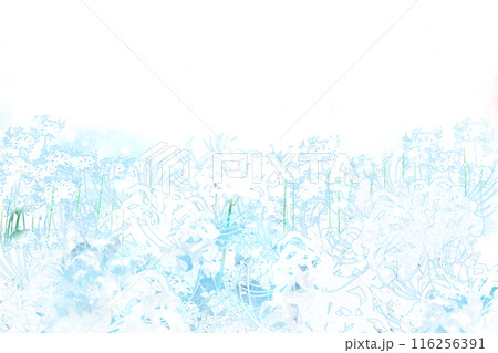 白い彼岸花、曼殊沙華の花のカード 白い彼岸花、曼殊沙華の花のカード 116256391