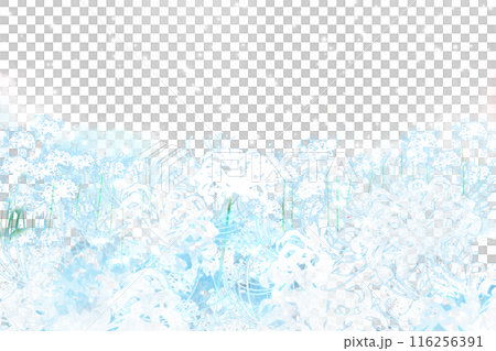 白い彼岸花、曼殊沙華の花のカード 白い彼岸花、曼殊沙華の花のカード 116256391