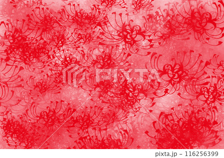 赤い彼岸花、曼殊沙華の花のカードテクスチャ風 116256399