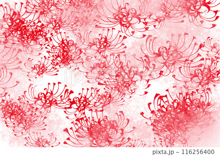 赤い彼岸花、曼殊沙華の花のカード淡い色 116256400