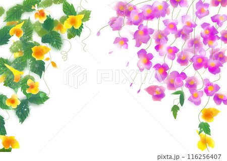 釣舟草(ツリフネソウ)の花のカード1 釣舟草(ツリフネソウ)の花のカード1 116256407