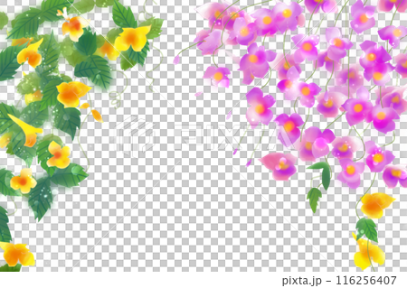 釣舟草(ツリフネソウ)の花のカード1 釣舟草(ツリフネソウ)の花のカード1 116256407
