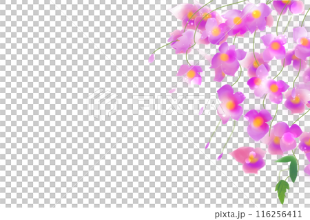 釣舟草（ツリフネソウ）の花のカード5 116256411