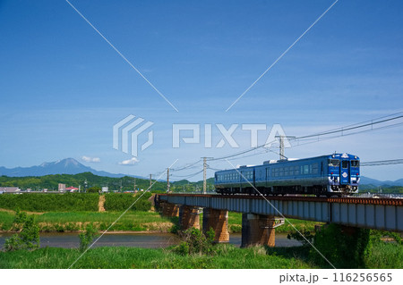 初夏を走る 116256565