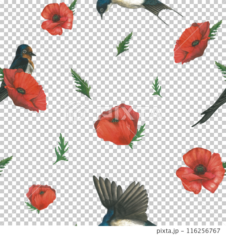 Watercolor pattern of illustrations of swallows and red poppies. Hand drawn, isolated on white background 116256767