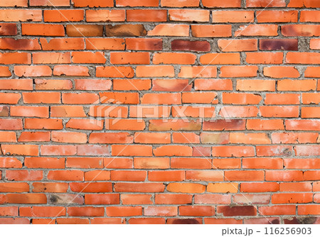 古いレンガの壁 116256903