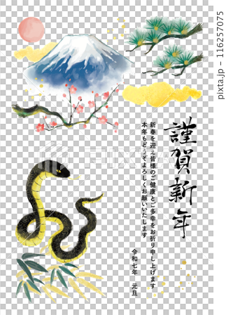 2025年　巳年　年賀状　蛇と富士山と松竹梅 116257075
