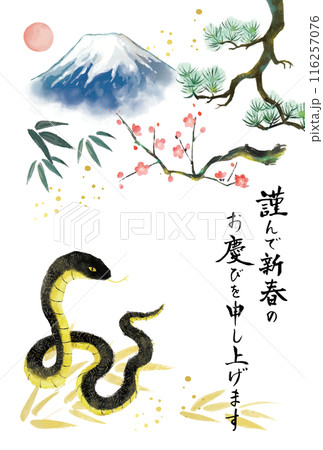 2025年 巳年 年賀状 蛇と富士山と松竹梅 2025年 巳年 年賀状 蛇と富士山と松竹梅 116257076