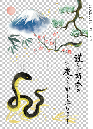 2025年 巳年 年賀状 蛇と富士山と松竹梅 2025年 巳年 年賀状 蛇と富士山と松竹梅 116257076
