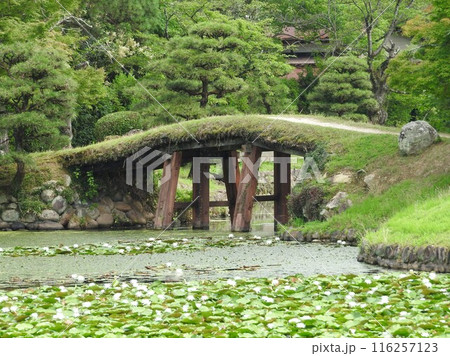 岡山県津山市にある回遊式日本庭園「衆楽園」：園内の土橋 116257123