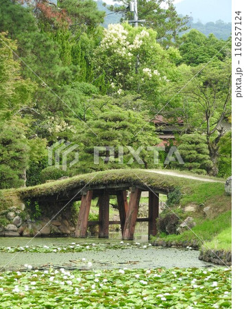岡山県津山市にある回遊式日本庭園「衆楽園」:園内の土橋 岡山県津山市にある回遊式日本庭園「衆楽園」:園内の土橋 116257124
