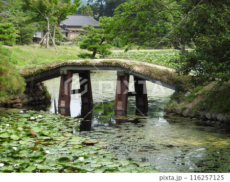 岡山県津山市にある回遊式日本庭園「衆楽園」：園内の土橋 116257125