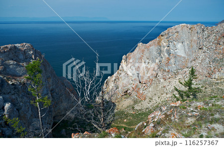 rocky shore  near Cape Khoboy 116257367