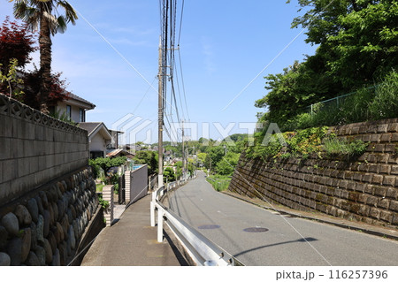 横浜 こども自然公園 (大池公園)周辺の道 横浜 こども自然公園 (大池公園)周辺の道 116257396