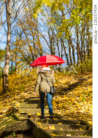 Woman walking in park with umbrella 116257434