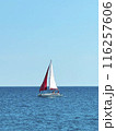 Sailboat in the sea. Clear blue sky. Seascape 116257606