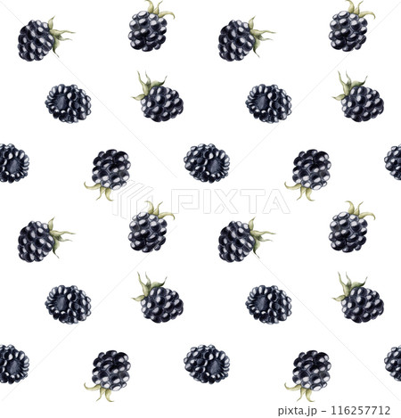 Blackberry, ripe berries. Watercolor illustration, floral seamless pattern on white background with summer fruit for table textile, delicious prints, summer fabrics, wrapping paper and food packages 116257712