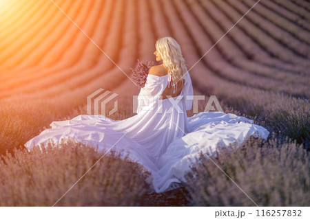 Blonde woman poses in lavender field at sunset. Happy woman in white dress holds lavender bouquet. Aromatherapy concept, lavender oil, photo session in lavender Blonde woman poses in lavender field at sunset. Happy woman in white dress holds lavender bouquet. Aromatherapy concept, lavender oil, photo session in lavender 116257832