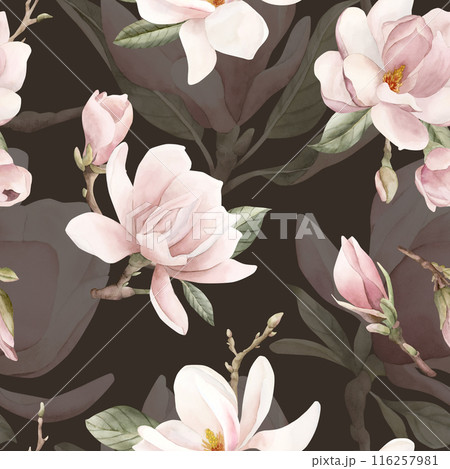 Light pink magnolia flowers with leaves. Watercolor floral seamless pattern on dark background. Spring blossom for flower fabric, cosmetic packaging, wrapping paper and home textile 116257981