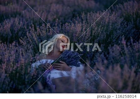 Blonde woman poses in lavender field at sunset. Happy woman in white dress holds lavender bouquet. Aromatherapy concept, lavender oil, photo session in lavender 116258014
