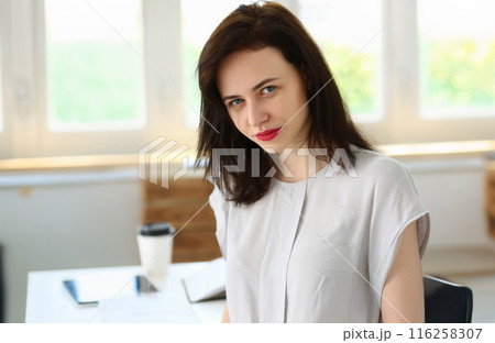 Brunette female, office clerk, presentable outfit, secretary lady on workplace Brunette female, office clerk, presentable outfit, secretary lady on workplace 116258307