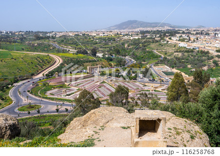 Panoramic View of Fes from Hilltop Overlook, Morocco. 116258768