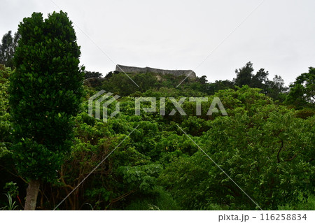 勝連城001 116258834