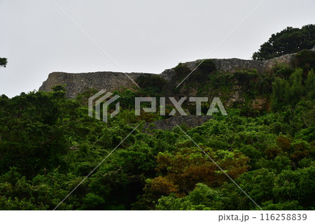 勝連城006 116258839