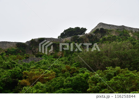 勝連城011 116258844