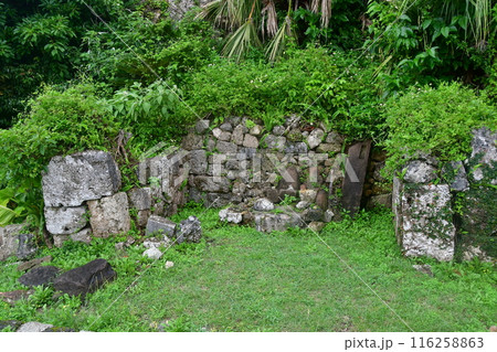 勝連城029 116258863