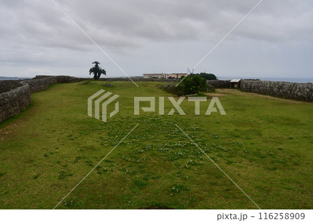 勝連城062 116258909