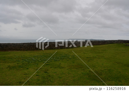 勝連城069 116258916