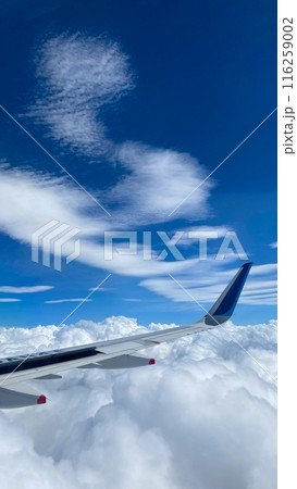 飛行機から見た雲 116259002