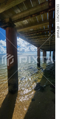真夏の石垣島 海 真夏の石垣島 海 116259131