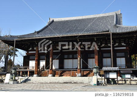 金戒光明寺 大殿(御影堂) 京都市左京区 金戒光明寺 大殿(御影堂) 京都市左京区 116259818