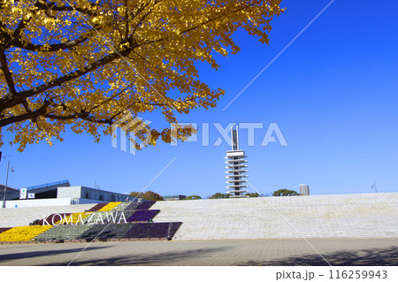 沢駒沢公園 116259943