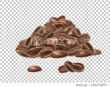 Coffee bean heap. Pile of roasted coffee grains. Enticing aroma and flavor of coffee. Watercolor realistic illustration. Perfect for coffee related projects, advertising, or digital art. Coffee bean heap. Pile of roasted coffee grains. Enticing aroma and flavor of coffee. Watercolor realistic illustration. Perfect for coffee related projects, advertising, or digital art. 116259957