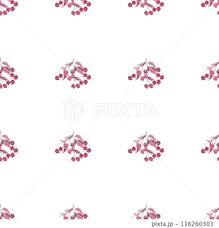 Selouettes of sprigs of berries in an abstract style on a white background. Isolated simple design. Berry seamless pattern in red watercolor. Ideal for summer textiles and kitchen decor Selouettes of sprigs of berries in an abstract style on a white background. Isolated simple design. Berry seamless pattern in red watercolor. Ideal for summer textiles and kitchen decor 116260303