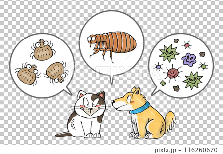 犬猫と寄生虫(ダニ、ノミ、病原菌) 116260670
